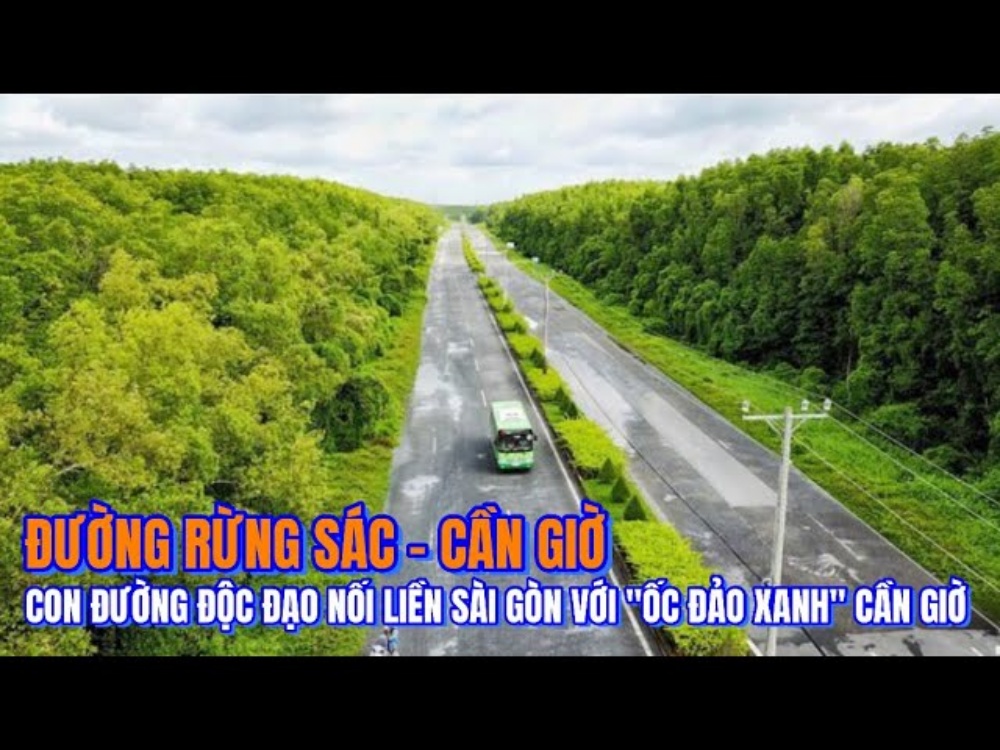 Tiềm năng của bất động sản Cần Giờ