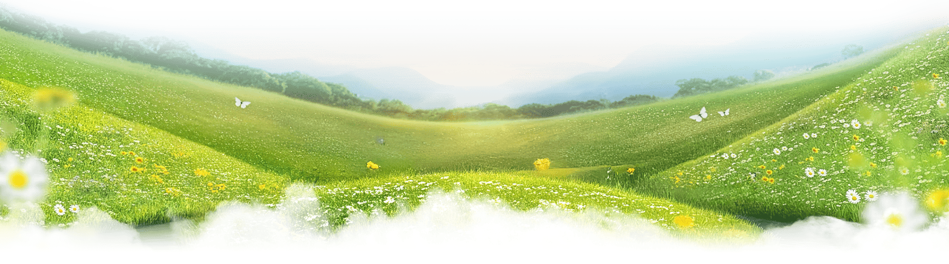 cta vinhoems điền thông tin