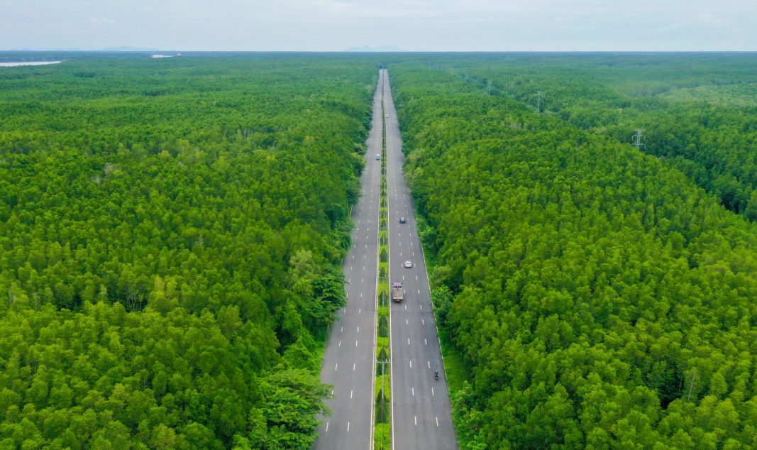 Tuyến đường lớn với hàng cây xanh mát nối vào khu biệt thự sang trọng