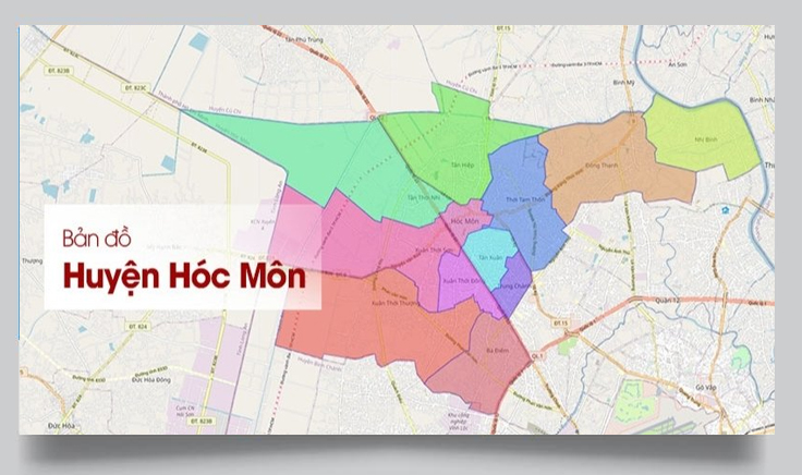 MC HOLDINGS