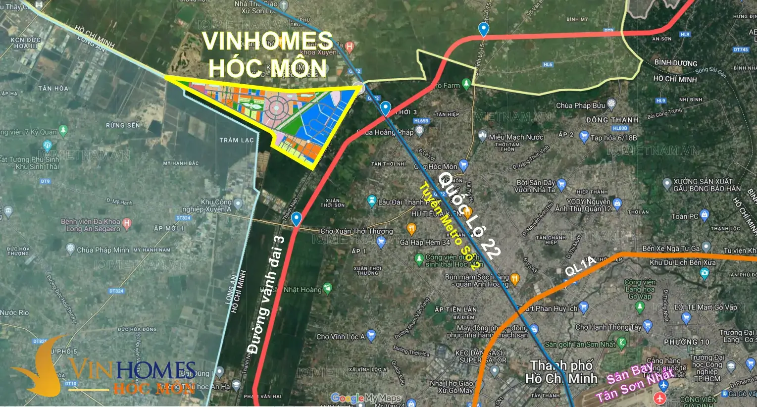 MC HOLDINGS