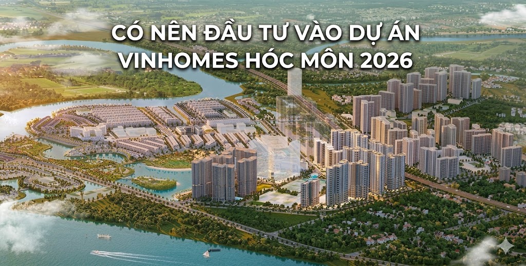 MC HOLDINGS