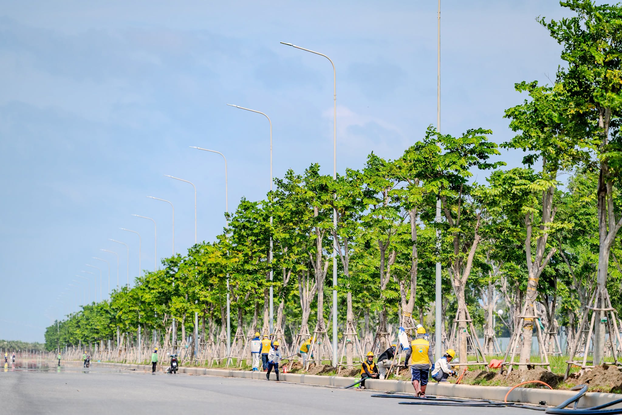 Đẩy nhanh tiến độ làm lại lộ trình đường rừng Sác mở đường cho Vinhomes Cần Giờ